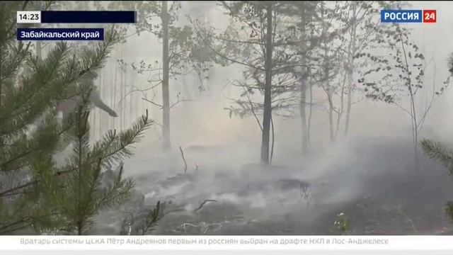 Россия 24, Москва, 28 июня 2025
Природные пожары в Забайкальском крае