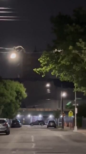 Смешные видео