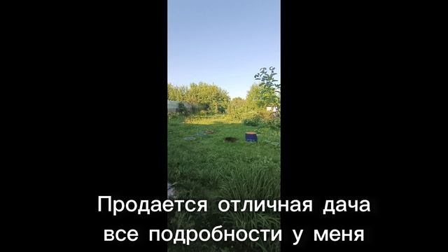 1000344094.mp4