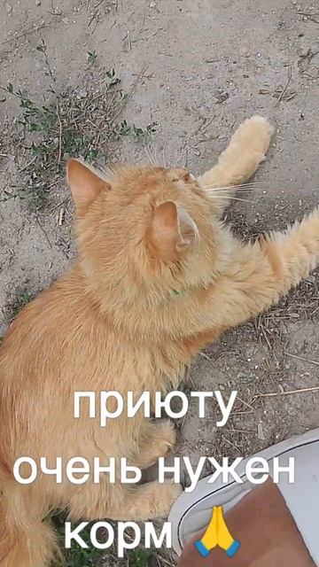 +7985 193 0027 сбер, элплат