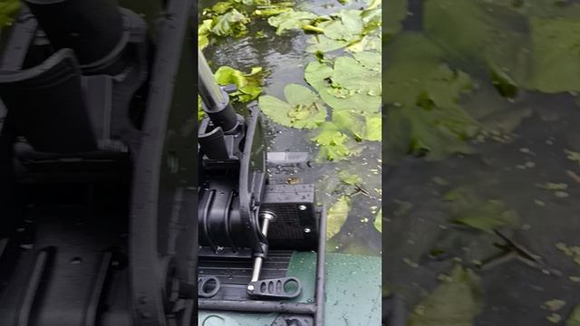 Тест лодочного электромотора P-200 лодка Прима Вираж 240 дно аирдек
Тест в кувшинках
11.06.2025
