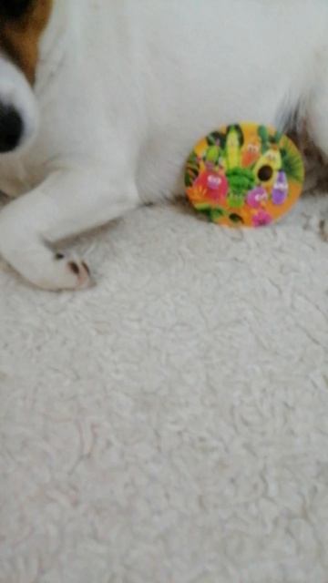 VID_20250629_000525.mp4