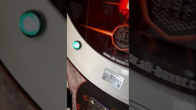 Представляем вашему вниманию силомер «Али-Боксер» версии «Flat screen» с ультро плоским экраном.