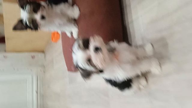 1000078282.mp4