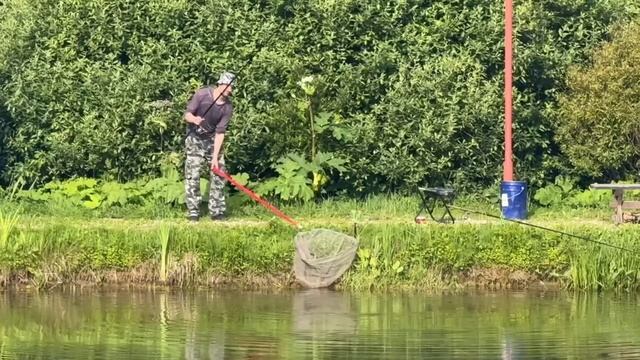 Утренняя поимка карпа на кукурузу