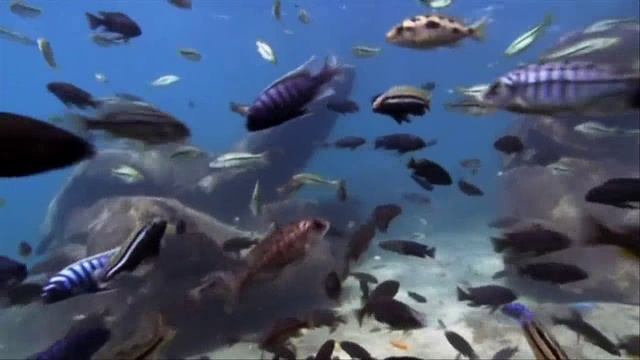 Chillout Earth clip