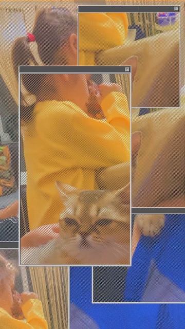 Вечерок&cat