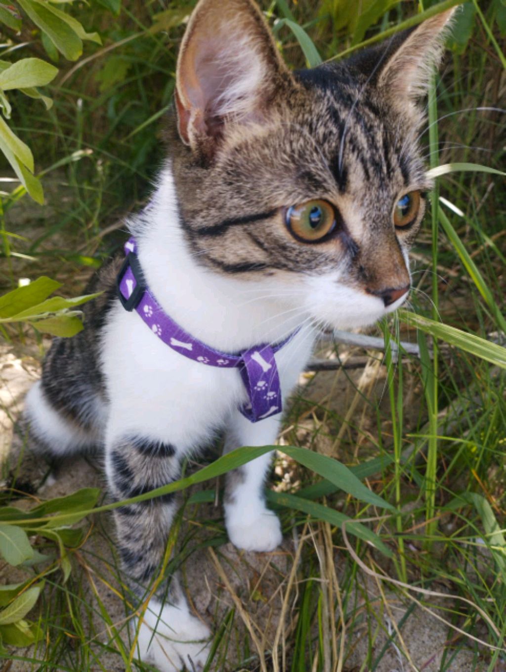 стрим 3000хх000