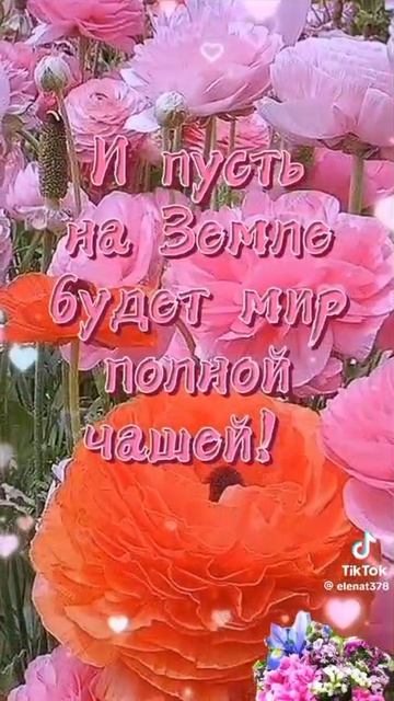 Вам доброе утро желаю я вам!