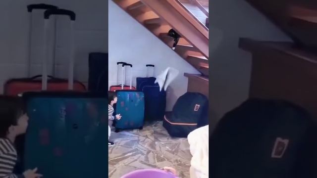 A cat isn’t just a pet… it’s a first best friend