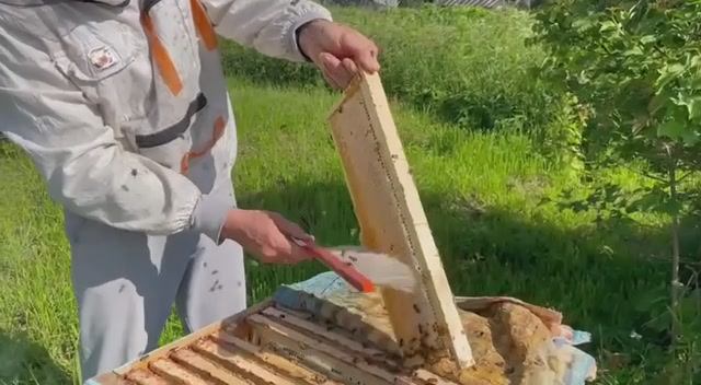 Вот и первый мёд!