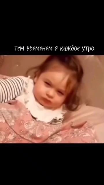 scene_output.mp4