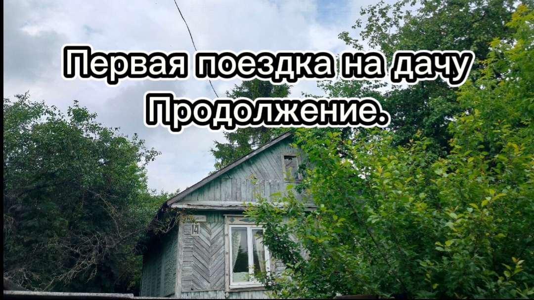 Первая поездка на дачу. Часть 2)