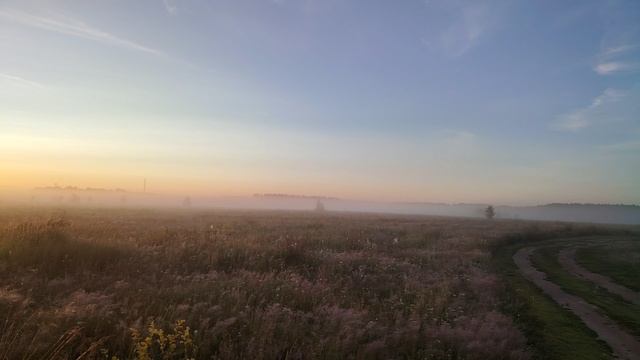 28 июня. Рассвет. Туман. Позитив.