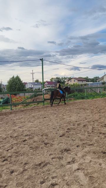 Даша и Аквилон, подъем в галоп в углу на плацу.
