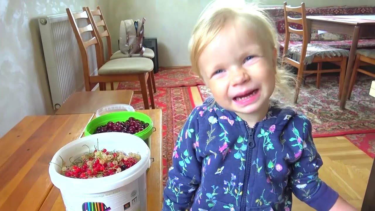СОФИЯ СТАЛА ПОВАРОМ ДЛЯ БРАТЬЕВ.