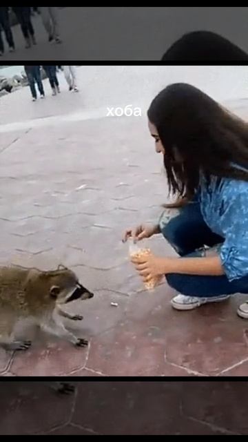 1000007626.mp4