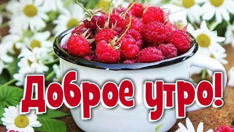 Открытка. Доброе утро☀ 🌝⏰