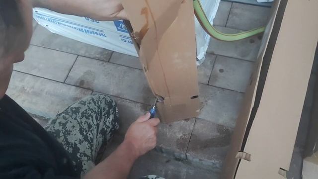 VLOG купили актинидию- 4 штуки, опадает цвет у томата🥹😓