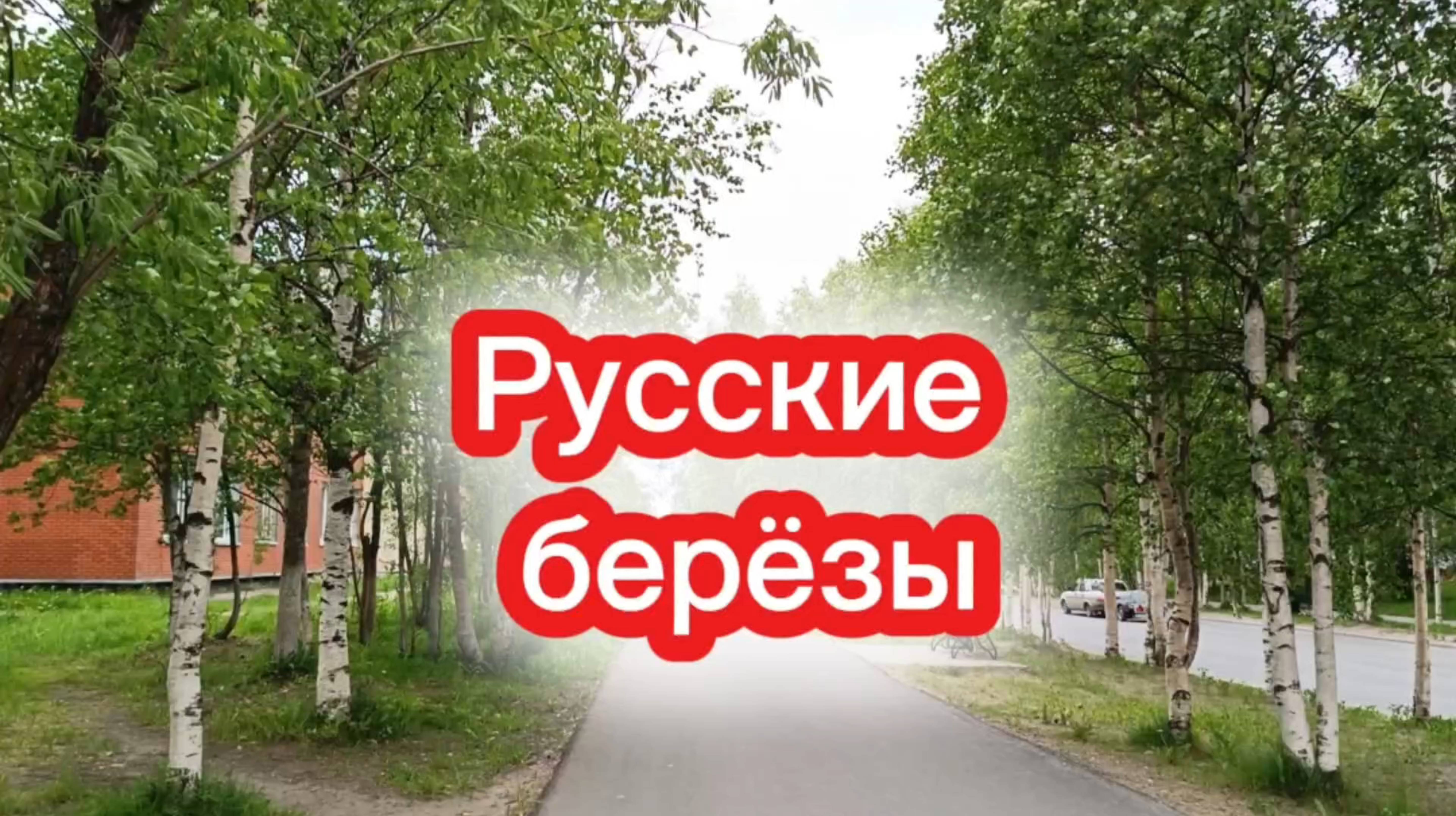 Песня РУССКИЕ БЕРЁЗЫ