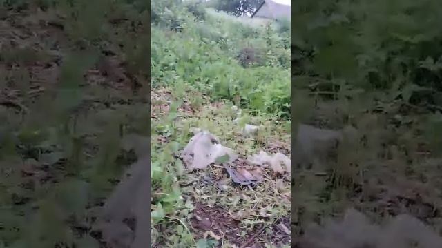 разбиваем бутылки вторая часть