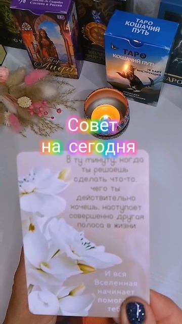 Совет на сегодня