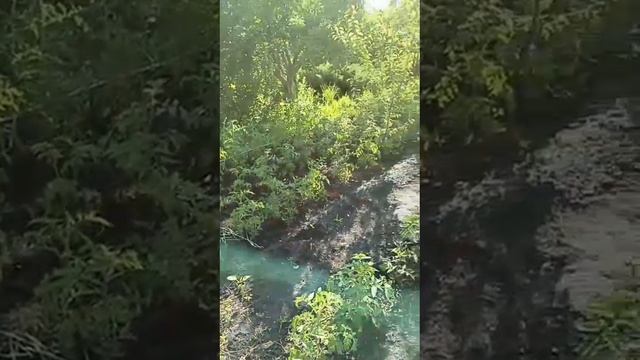 Слишком много зелёного