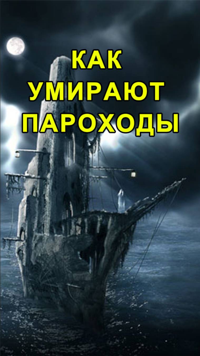 История гибели одного парохода. Японское море, Босфор Восточный остров Русский 2025#shorts