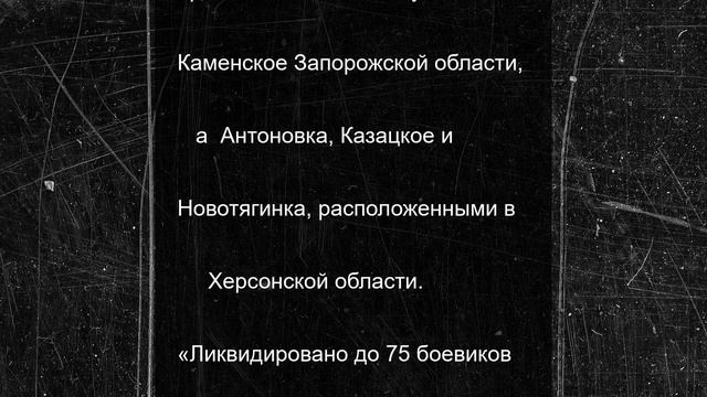 На Херсонском и Запорожском направлениях уничтожено до 75 боевиков ВСУ