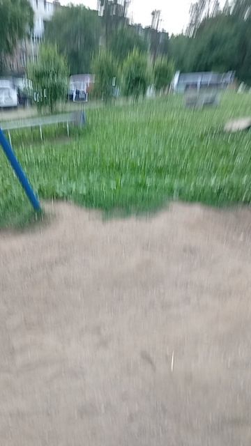 1000001025.mp4