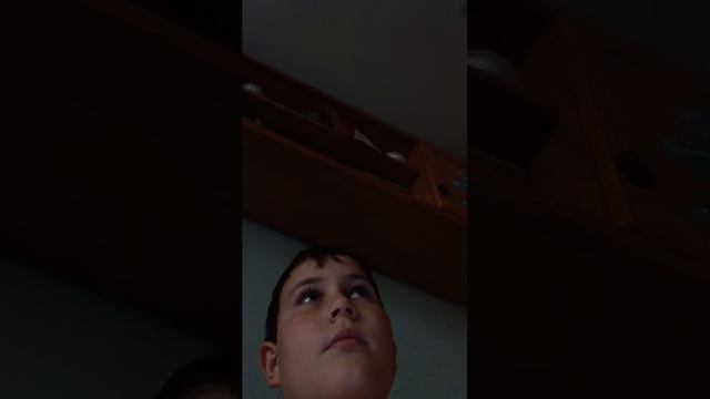 фармим на ис 4