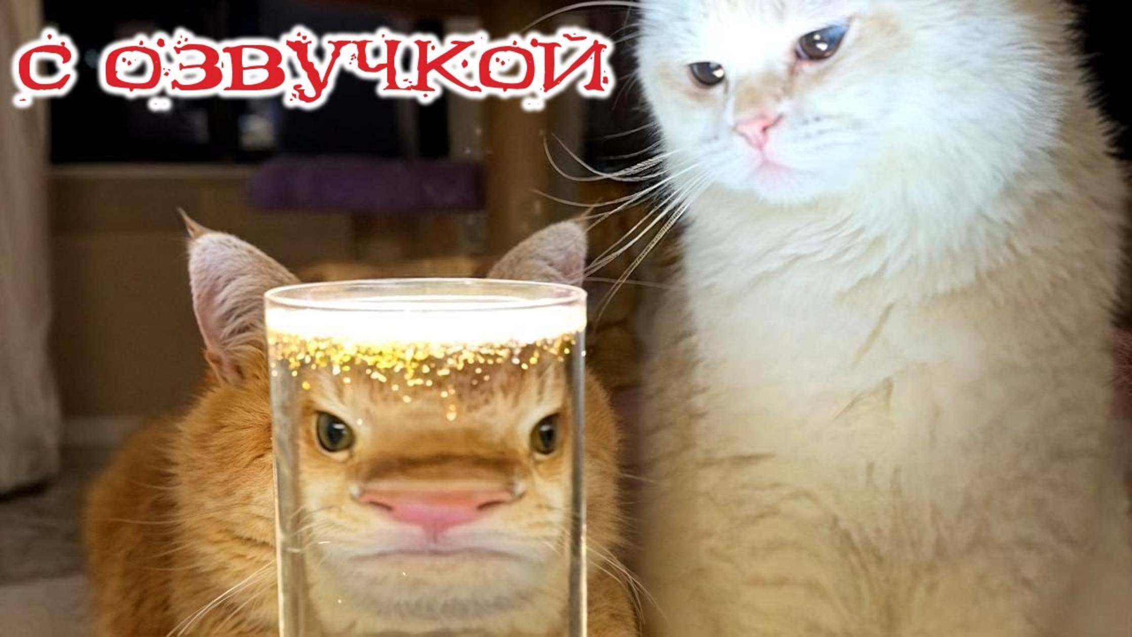 Приколы с котами! С ОЗВУЧКОЙ! Смешные видео с котами и собаками! Самые смешные животные!