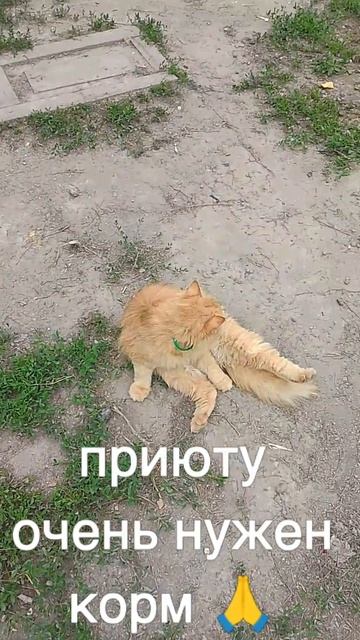 +7985 193 0027 сбер, элплат