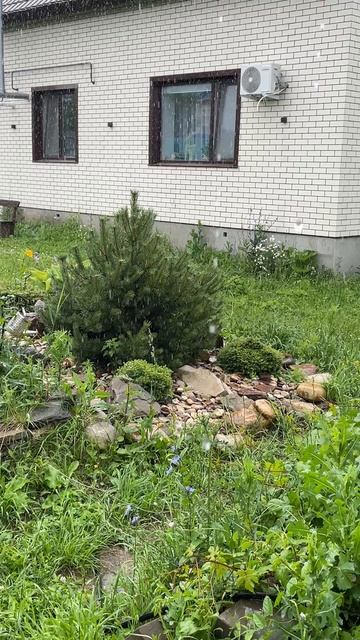 Дождливое лето 2025