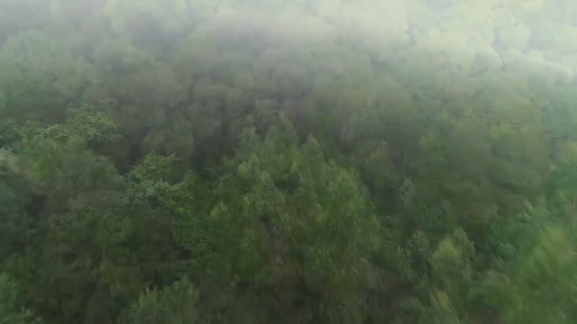 Увидев провалившуюся под лед девочку женщина не раздумывая кинулась на помощь...