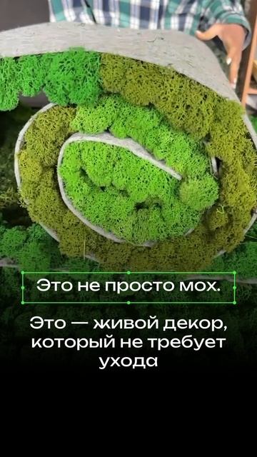 Пластовой стабилизированный мох разных оттенков