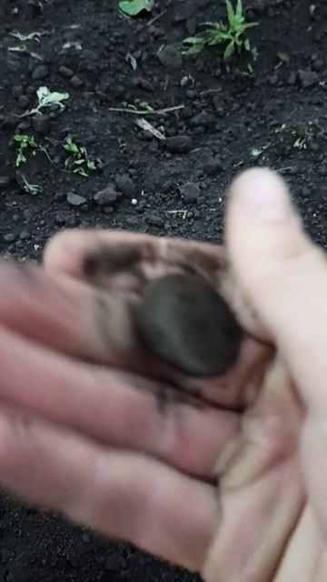 НАШЕЛ СТАРИННУЮ МОНЕТУ В СТАРИННОЙ ДЕРЕВНЕ