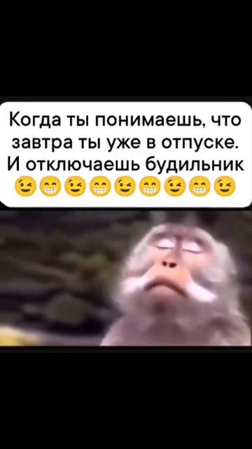 Будильники