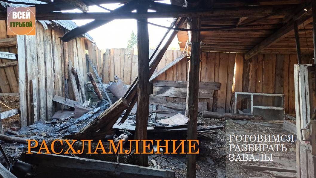 Забытое и заброшенное, вывезли 85 мешков мусора