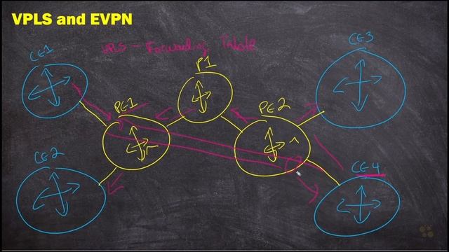 10. VPLS and EVPN