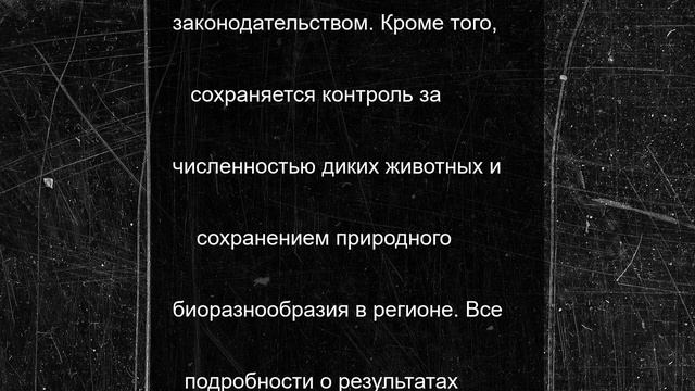 В Минприроды Ставропольского края распределили разрешения на охоту
