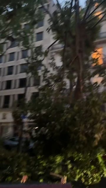 Увидеть Париж и умереть ✅