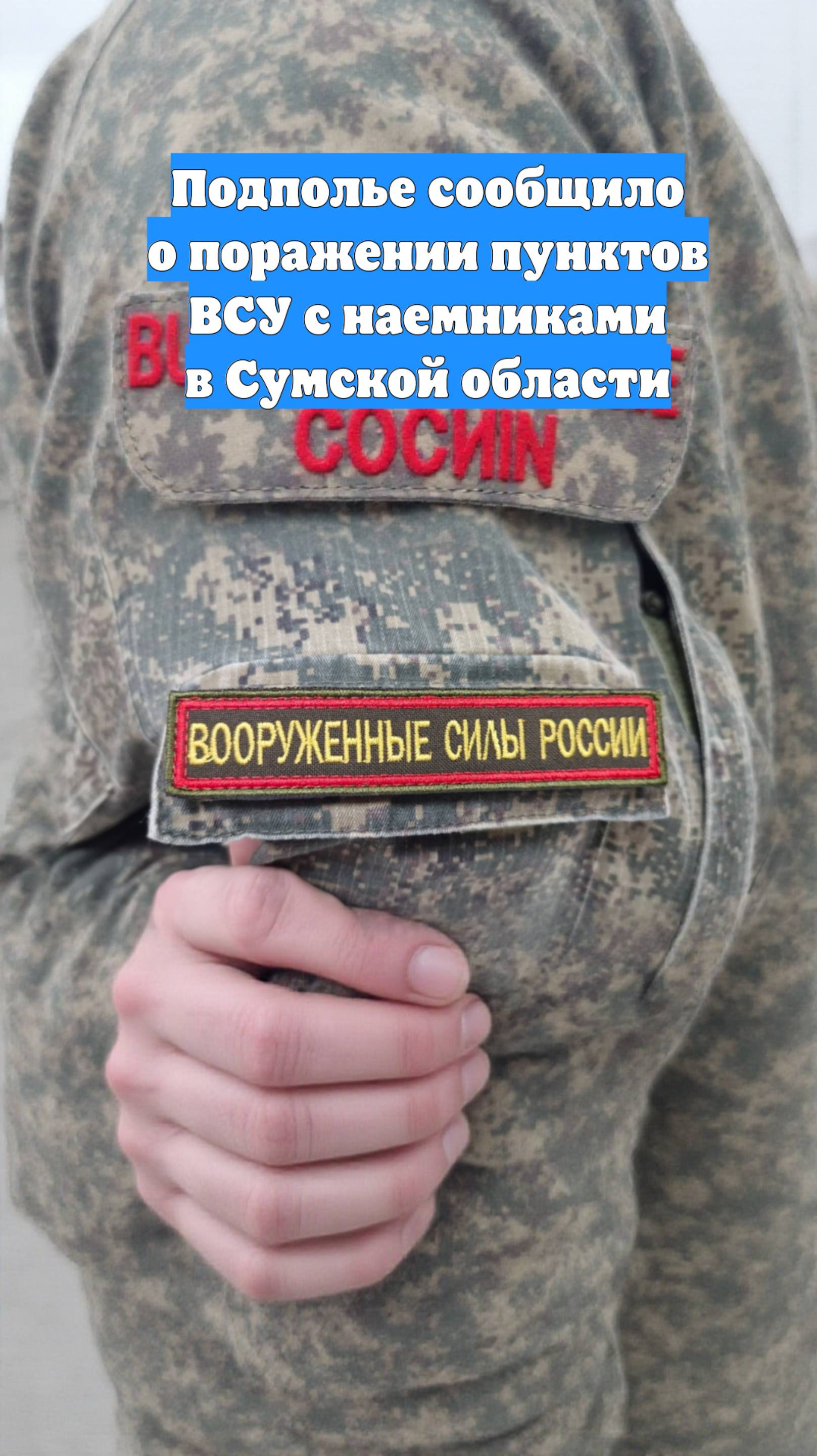 Подполье сообщило о поражении пунктов ВСУ с наемниками в Сумской области