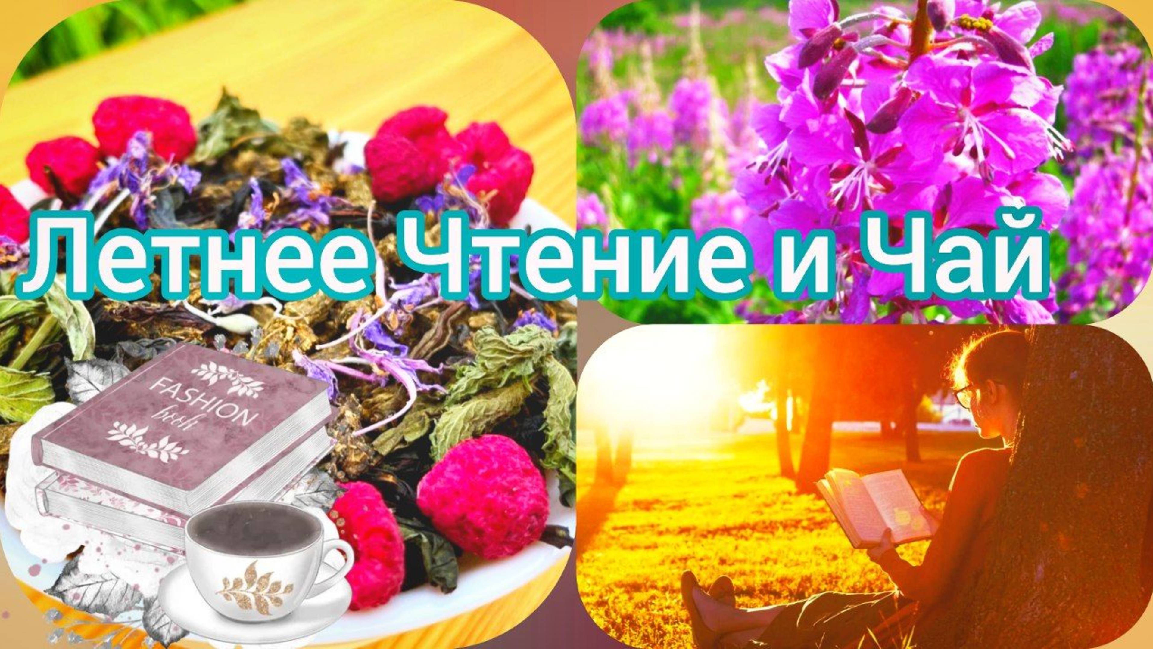 Дверь в Лето': Книга и Чай для Жаркого Дня
Летнее Чтение и Чай
Мои Любимые Летние Напитки