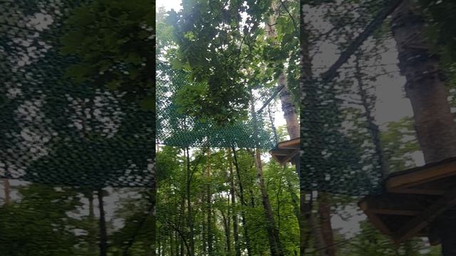 Прогулка в парке Победы в Ульяновске, 25.06.2025