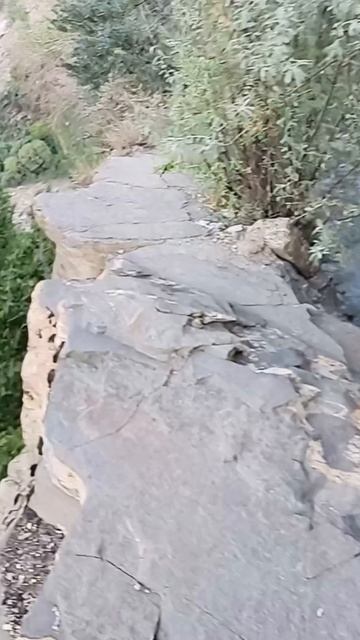 Забытые тропы