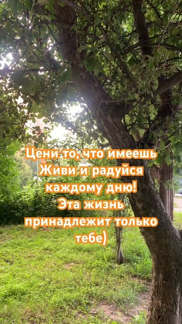 Ценность