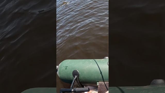 Трофейная щука устроила шоу и ушла под лодку! ЭТО надо видеть!