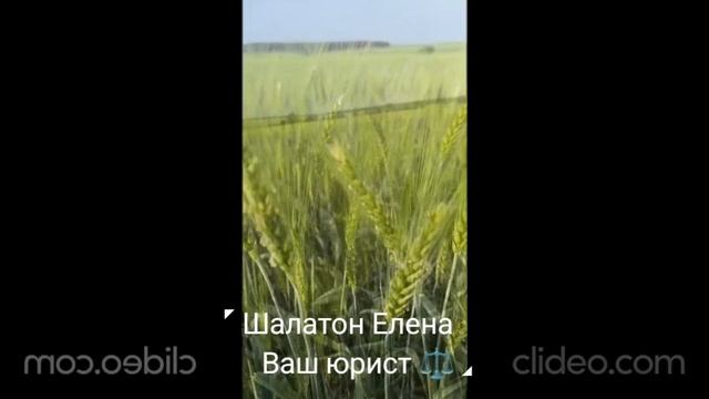 ШАЛАТОН ЕЛЕНА. ЮРИСТ. ПРАВОЗАЩИТНИК. Видео РЕЛАКС. Медитация. Россия. Моя страна. Красивая съемка