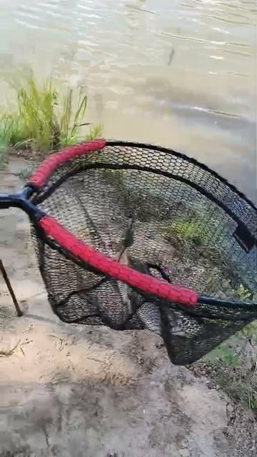 28-06-2025